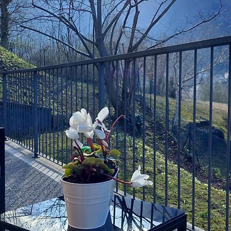 Casa Laura Zona Bellagio Apartment Magreglio ภายนอก รูปภาพ